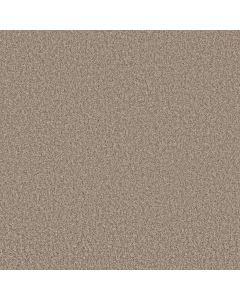 Shaw TAKE AWAY (T) Frontier Carpet - SH-5E425-00720