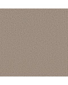 Shaw TAKE AWAY (T) Mulch Carpet - SH-5E425-00721