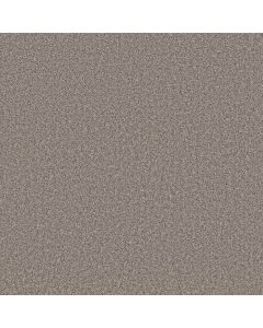 Shaw TAKE AWAY (T) Hawk Carpet - SH-5E425-00722