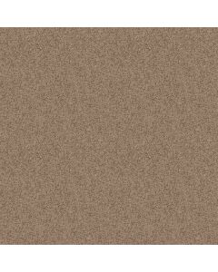Shaw TAKE AWAY (S) Raft Carpet - SH-5E426-00701