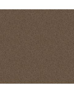 Shaw TAKE AWAY (S) Canoe Carpet - SH-5E426-00703