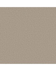 Shaw HARMONIOUS II Fossil Path Carpet - SH-5E437-00108