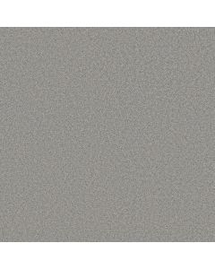 Shaw HARMONIOUS II Sentimental Carpet - SH-5E437-00538