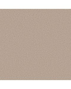 Shaw HARMONIOUS II Heirloom Carpet - SH-5E437-00803