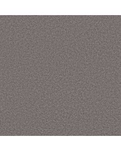 Shaw HARMONIOUS I Deep Connection Carpet - SH-5E438-00902