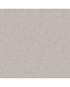 Shaw ALLURING CANVAS Winters Dawn Carpet - SH-5E445-00102
