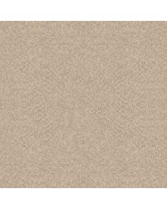 Shaw ALLURING CANVAS Sun Kissed Carpet - SH-5E445-00110
