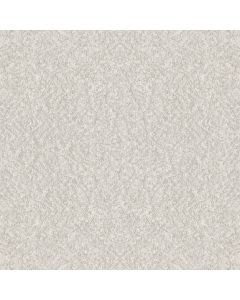 Shaw ALLURING CANVAS Gallery Opening Carpet - SH-5E445-00125