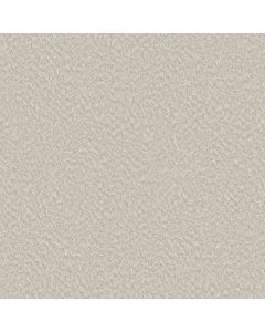 Shaw ALLURING CANVAS Champagne Toast Carpet - SH-5E445-00153