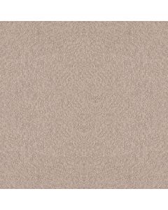 Shaw ALLURING CANVAS Heirloom Carpet - SH-5E445-00803