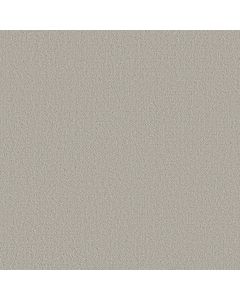 Shaw FINE TAPESTRY Split Sediment Carpet - SH-5E446-00104