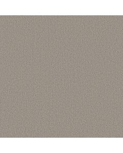 Shaw FINE TAPESTRY Fossil Path Carpet - SH-5E446-00108