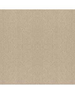 Shaw FINE TAPESTRY Sun Kissed Carpet - SH-5E446-00110