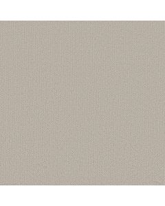 Shaw FINE TAPESTRY Baltic Stone Carpet - SH-5E446-00128