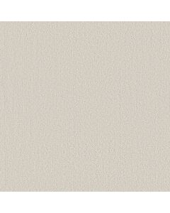 Shaw FINE TAPESTRY Champagne Toast Carpet - SH-5E446-00153