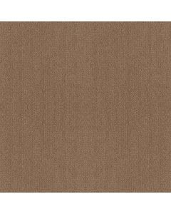 Shaw FINE TAPESTRY Raw Wood Carpet - SH-5E446-00720