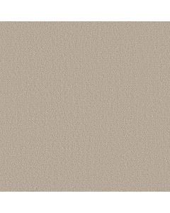 Shaw FINE TAPESTRY Sandstone Carpet - SH-5E446-00743