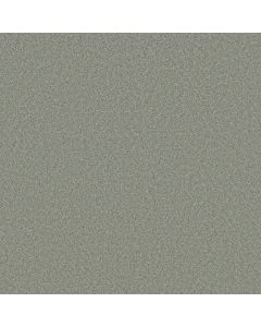 Shaw HARMONIOUS III Water S Edge Carpet - SH-5E451-00307