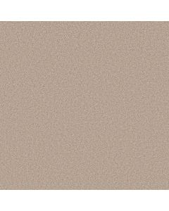 Shaw HARMONIOUS III Heirloom Carpet - SH-5E451-00803