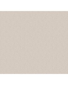 Shaw LOOP DE LOOP Canvas Carpet - SH-5E452-00103