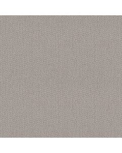 Shaw LOOP DE LOOP Warm Greige Carpet - SH-5E452-00104