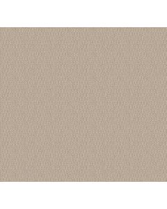 Shaw LOOP DE LOOP Natural Wood Carpet - SH-5E452-00107
