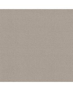 Shaw LOOP DE LOOP Sandstone Carpet - SH-5E452-00108