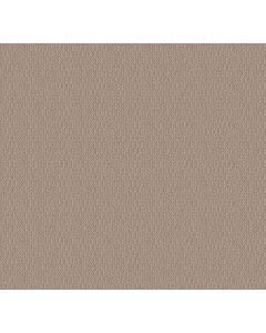 Shaw LOOP DE LOOP Pebble Path Carpet - SH-5E452-00109