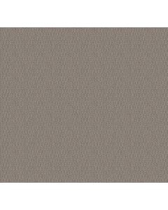 Shaw LOOP DE LOOP Industrial Carpet - SH-5E452-00505