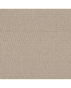 Shaw CRAFTED EMBRACE Sun Kissed Carpet - SH-5E455-00107
