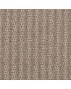 Shaw CRAFTED EMBRACE Dark Maple Carpet - SH-5E455-00109