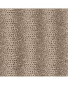 Shaw CRAFTED EMBRACE Beige Bisque Carpet - SH-5E455-00110