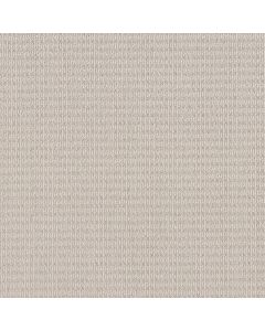 Shaw CHIC ELEVATION Champagne Toast Carpet - SH-5E456-00103