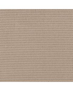 Shaw CHIC ELEVATION Sun Kissed Carpet - SH-5E456-00107