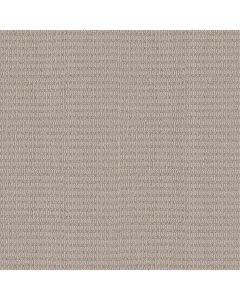 Shaw CHIC ELEVATION Sandstone Carpet - SH-5E456-00108