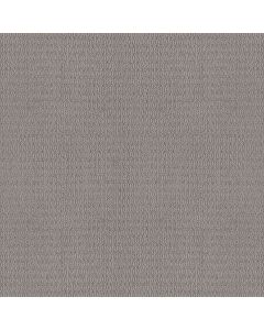 Shaw CHIC ELEVATION Harbor Dock Carpet - SH-5E456-00504