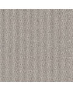 Shaw CHANNELING Warm Greige Carpet - SH-5E457-00104