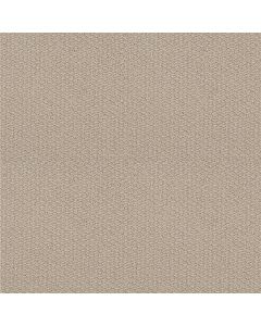 Shaw CHANNELING Natural Wood Carpet - SH-5E457-00107