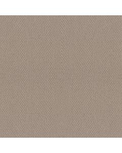 Shaw CHANNELING Pebble Path Carpet - SH-5E457-00109