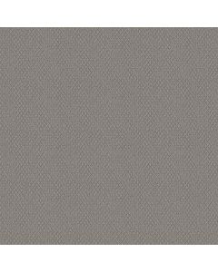 Shaw CHANNELING Cozy Throw Carpet - SH-5E457-00504