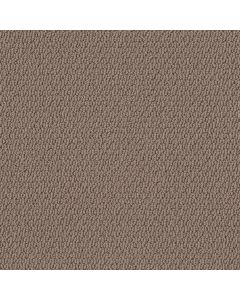 Shaw CHANNELING Bird House Carpet - SH-5E457-00703