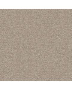 Shaw TruSplendor Mist Carpet - SH-5E464-00103