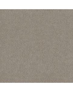 Shaw TruSplendor Lady Liberty Carpet - SH-5E464-00502