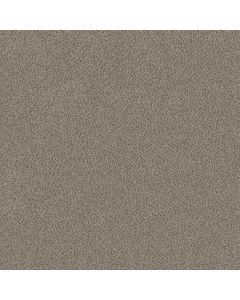 Shaw TruSplendor Iron Works Carpet - SH-5E464-00506