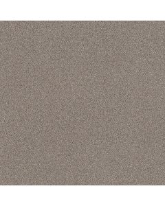 Shaw TruSplendor Concrete Carpet - SH-5E464-00507