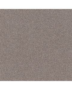 Shaw TruSplendor Stainless Carpet - SH-5E464-00508