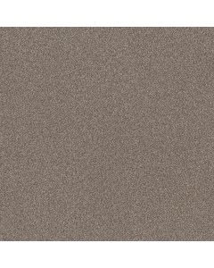 Shaw TruSplendor Cobble Drive Carpet - SH-5E464-00510