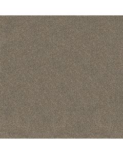 Shaw TruSplendor Truffle Carpet - SH-5E464-00701