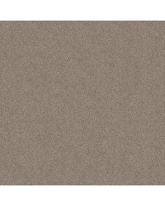 Shaw TruSplendor Timeless Tan Carpet - SH-5E464-00704