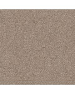 Shaw TruSplendor Cottage Carpet - SH-5E464-00705